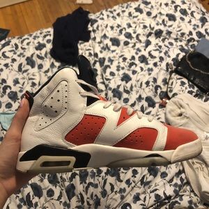 Air Jordan gatorade 6